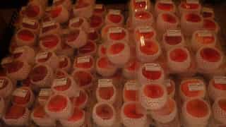 Nuxt UI Screenshot 7